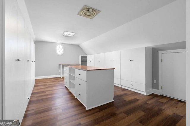 additional living space featuring dark wood-style flooring, baseboards, and lofted ceiling