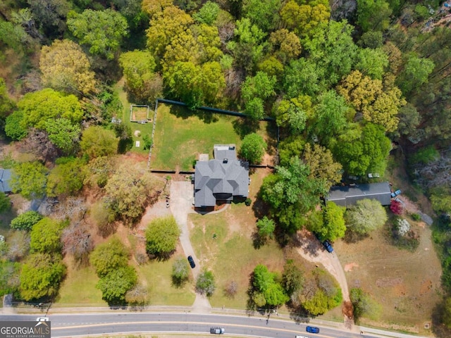 bird's eye view
