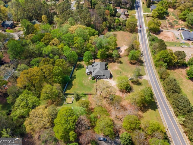 bird's eye view