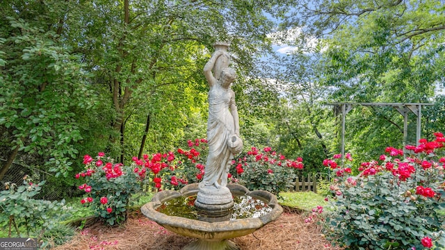 316 E 3rd Ave, Rome, GA 30161 - view of yard