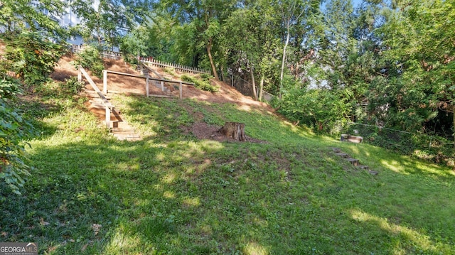 316 E 3rd Ave, Rome, GA 30161 - view of yard