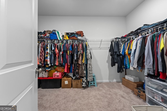 spacious closet featuring carpet floors