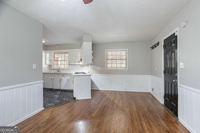 kitchen featuring dark wood-style flooring, white cabinetry, light countertops, and a wainscoted wall