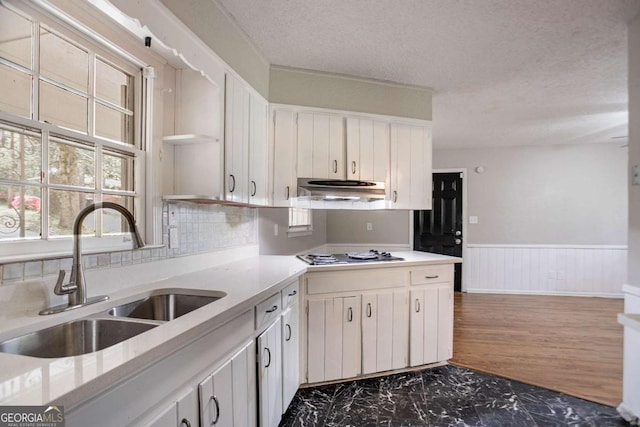 kitchen featuring light countertops, a wainscoted wall, range hood, a sink, and stovetop