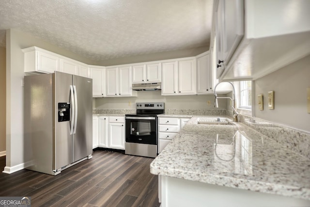 kitchen featuring wood finish floors, white cabinets, appliances with stainless steel finishes, under cabinet range hood, and a sink