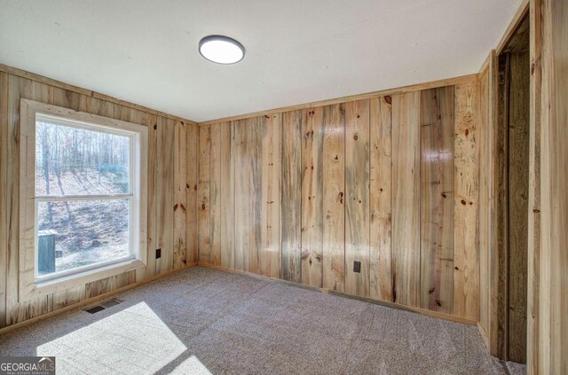 290 Mount Moriah Rd, Dallas, GA 30132 - unfurnished room featuring wooden walls, carpet, and plenty of natural light