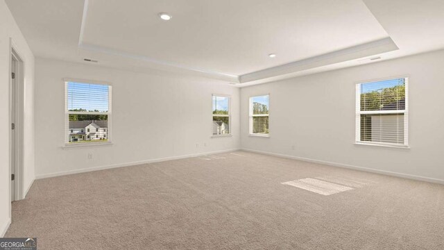 1139 Blue Juniper Cir, Loganville, GA 30052 - empty room featuring baseboards, a raised ceiling, and plenty of natural light