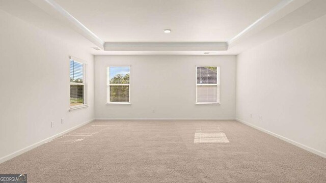 1139 Blue Juniper Cir, Loganville, GA 30052 - carpeted empty room with baseboards, ornamental molding, and a raised ceiling