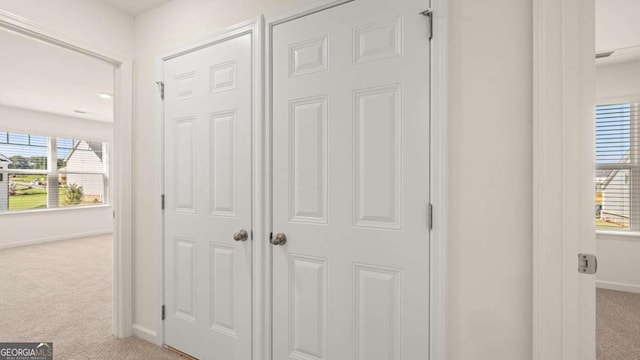 1139 Blue Juniper Cir, Loganville, GA 30052 - interior details with baseboards and carpet