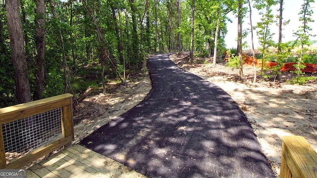 1139 Blue Juniper Cir, Loganville, GA 30052 - view of street