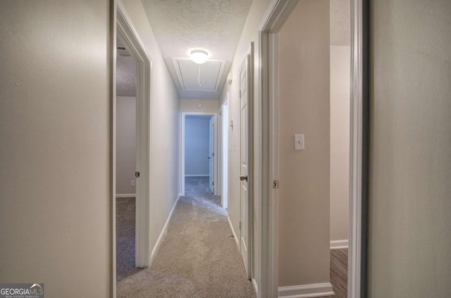 3647 Miller St, Lithia Springs, GA 30122 - hall with attic access, carpet flooring, a textured ceiling, and baseboards