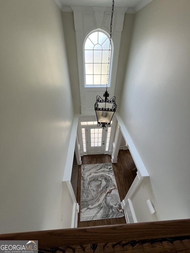 foyer with dark wood-style floors