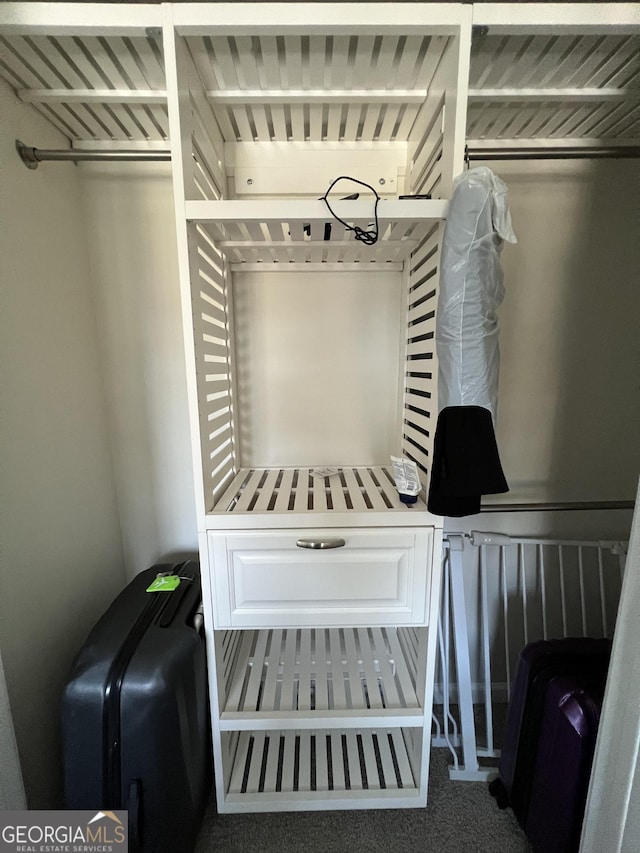 walk in closet with carpet