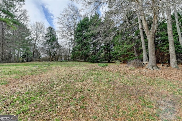 8100 Greens Mill Way, Loganville, GA 30052 - view of yard