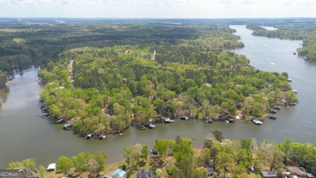 348 Bluegill Rd, Eatonton, GA 31024 - aerial view of a forest and a large body of water