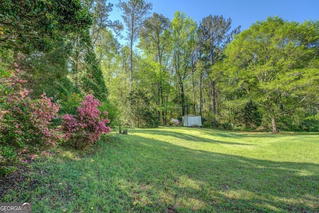 view of yard with a view of trees, a storage shed, and an outdoor structure