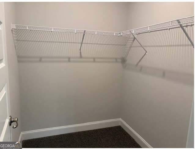 3383 Milan Court Lot 4; Plapprox Sqft 1, Douglasville, GA 30135 - view of spacious closet