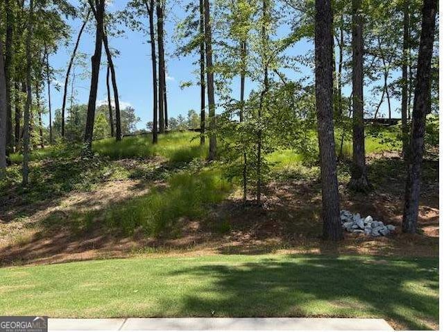 3383 Milan Court Lot 4; Plapprox Sqft 1, Douglasville, GA 30135 - view of yard