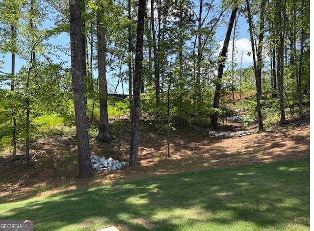 3383 Milan Court Lot 4; Plapprox Sqft 1, Douglasville, GA 30135 - view of grassy yard