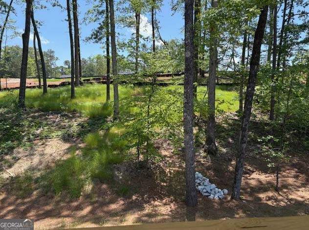3383 Milan Court Lot 4; Plapprox Sqft 1, Douglasville, GA 30135 - view of undeveloped land