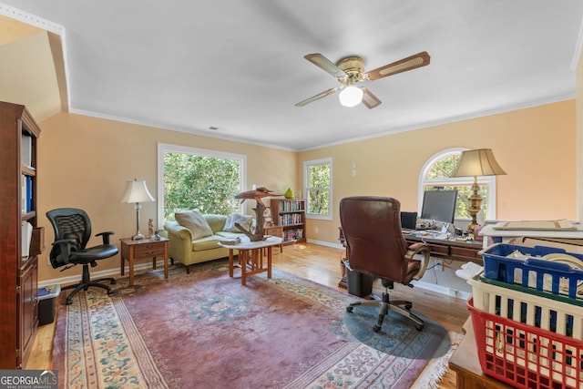 office space with healthy amount of natural light, wood finished floors, ceiling fan, crown molding, and baseboards