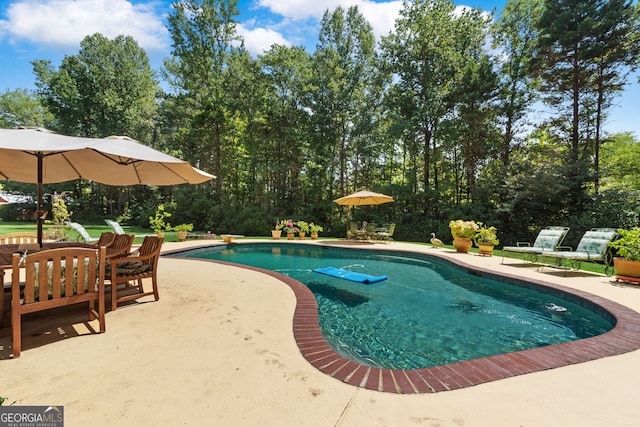 swimming pool with a patio area