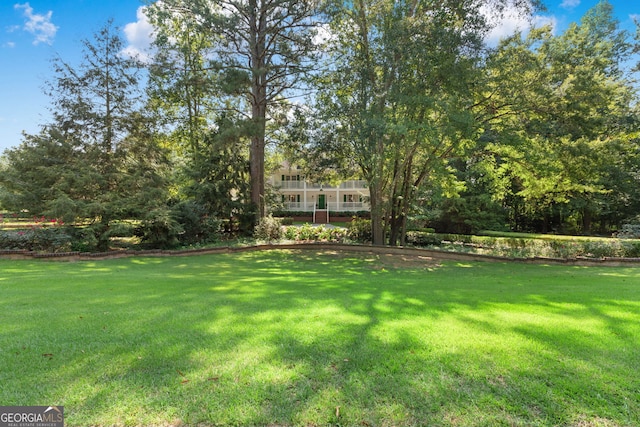 view of grassy yard