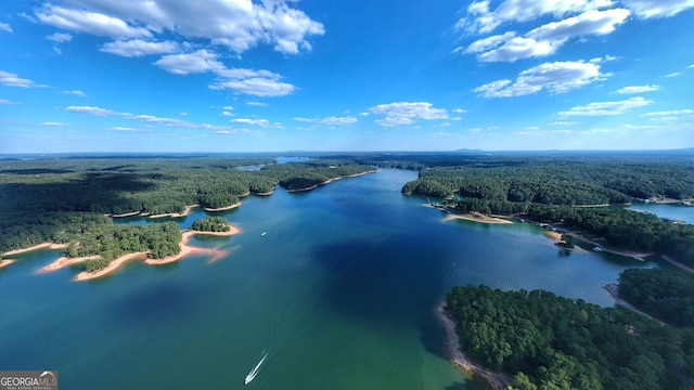drone / aerial view with a view of trees and a water view