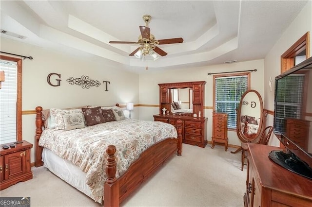 209 Red Fern Ct, Canton, GA 30114 - bedroom featuring a raised ceiling, light carpet, a ceiling fan, and baseboards