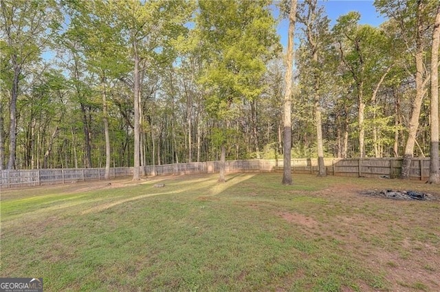 209 Red Fern Ct, Canton, GA 30114 - view of yard