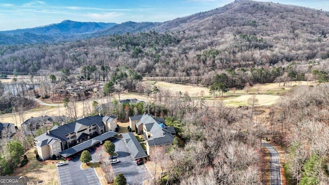 aerial overview of property's location with a mountainous background and a forest
