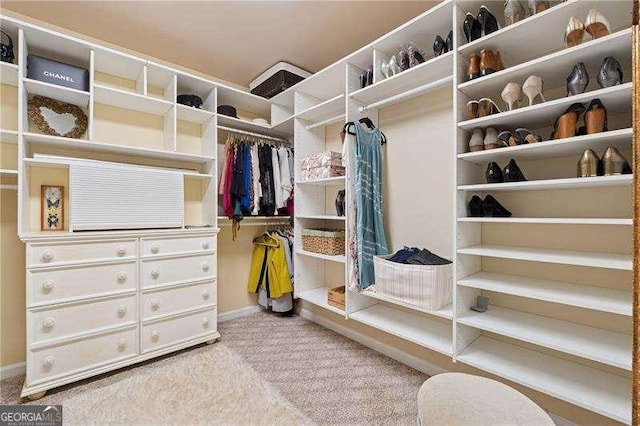 310 Kingspring Ct, Roswell, GA 30076 - spacious closet featuring carpet flooring