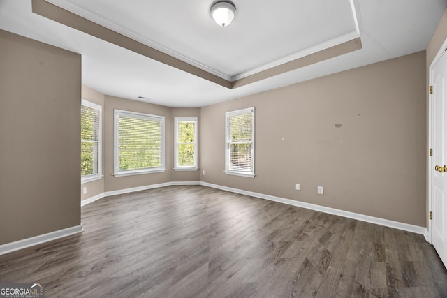 774 Mary Ann Dr NE, Marietta, GA 30068 - unfurnished room with a raised ceiling, wood finished floors, and a wealth of natural light