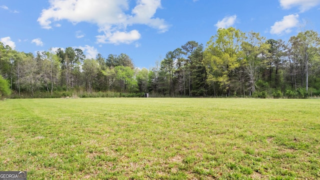 745 Pleasant Valley Rd SE, Silver Creek, GA 30173 - view of green lawn featuring a view of trees
