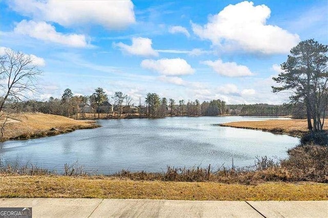 75 Glen Abbey Cir, Fairburn, GA 30213 - view of water feature