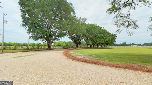 view of home's community with a yard