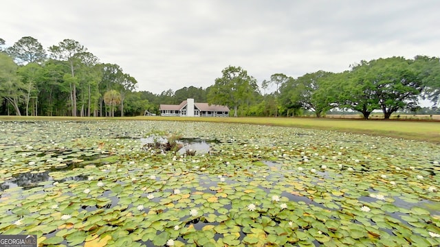 view of yard with a water view