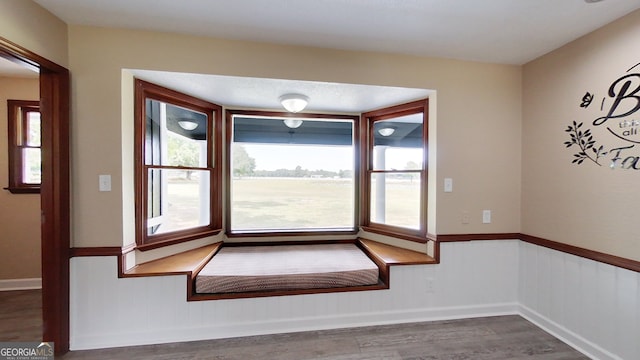 unfurnished dining area with a wainscoted wall, wood finished floors, and plenty of natural light