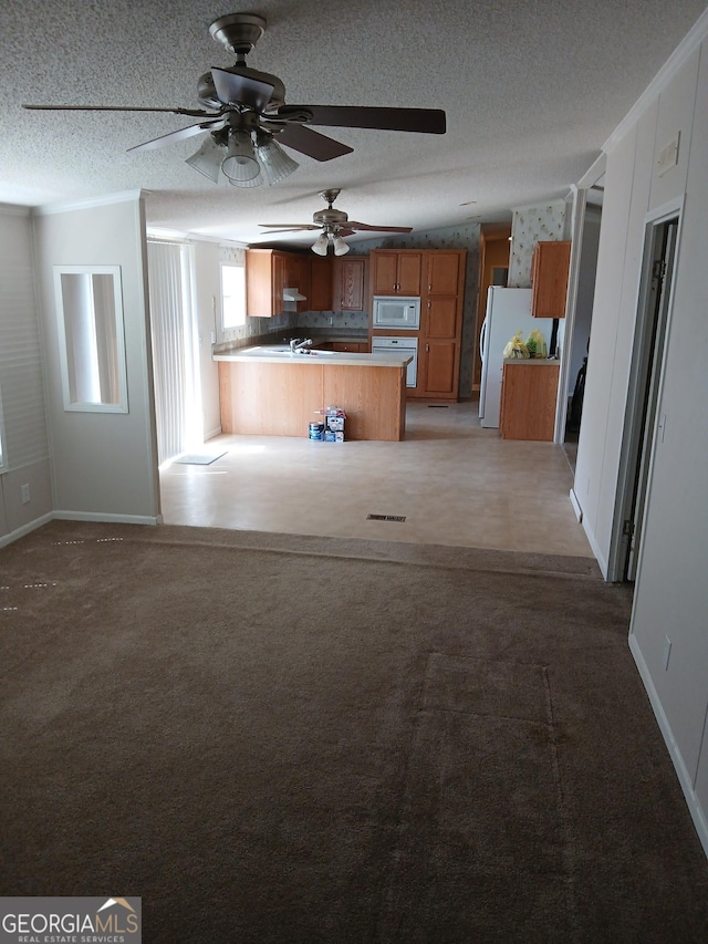 2791 Pulaski Rd, Statesboro, GA 30458 - unfurnished living room with a textured ceiling, ceiling fan, baseboards, and carpet