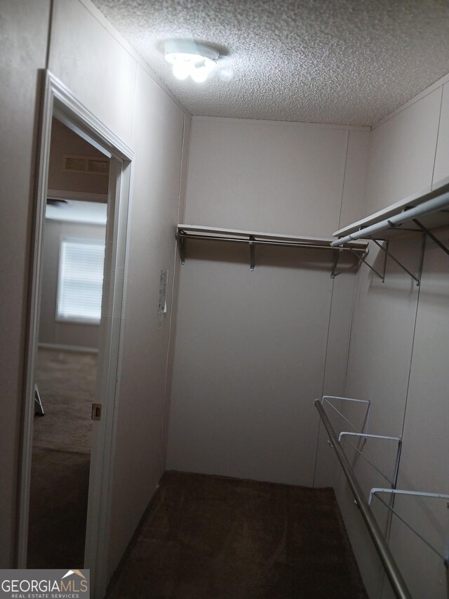 2791 Pulaski Rd, Statesboro, GA 30458 - walk in closet featuring carpet flooring