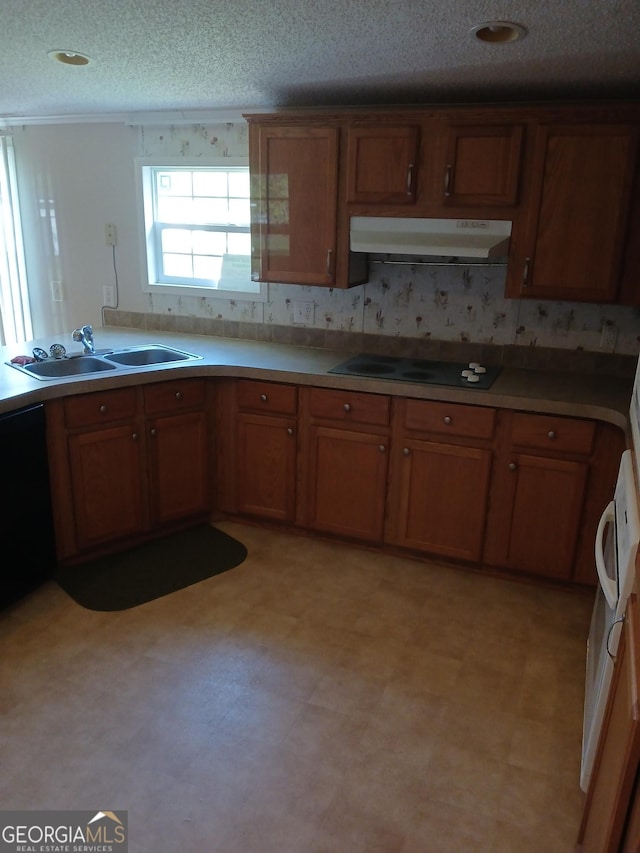 2791 Pulaski Rd, Statesboro, GA 30458 - kitchen featuring a sink, black electric cooktop, a textured ceiling, extractor fan, and brown cabinetry