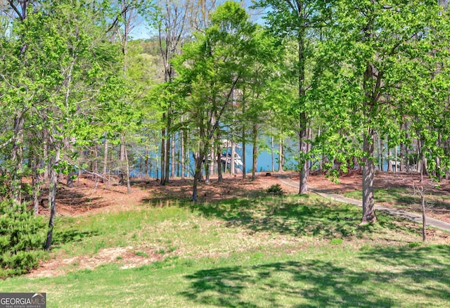 804 Eagleview, Anderson, SC 29625 - view of yard