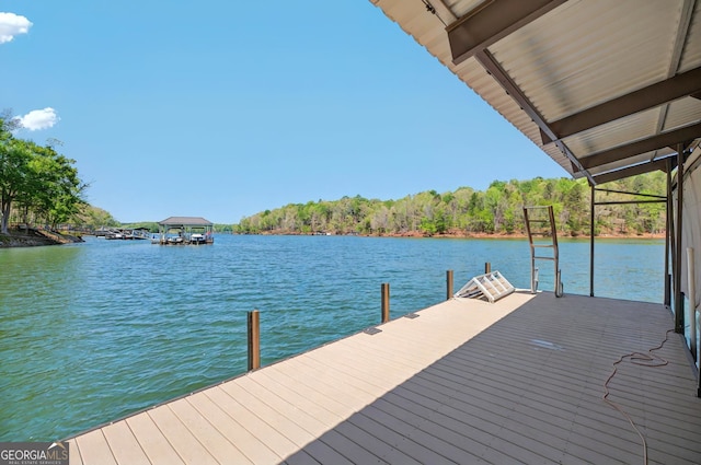 804 Eagleview, Anderson, SC 29625 - dock with a water view