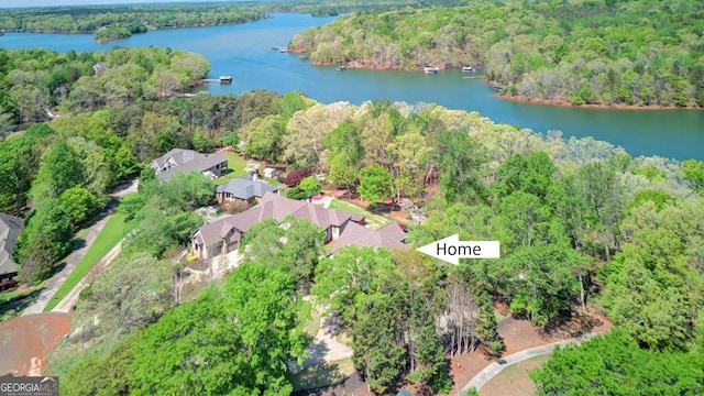 804 Eagleview, Anderson, SC 29625 - aerial view of property and surrounding area with a forest and a nearby body of water