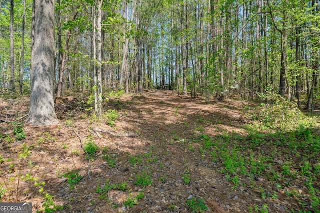328 Spence Cir, Ball Ground, GA 30107 - view of tree filled area