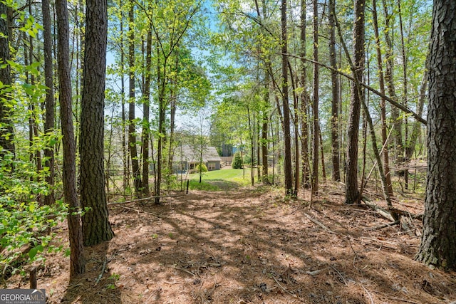 328 Spence Cir, Ball Ground, GA 30107 - view of nature