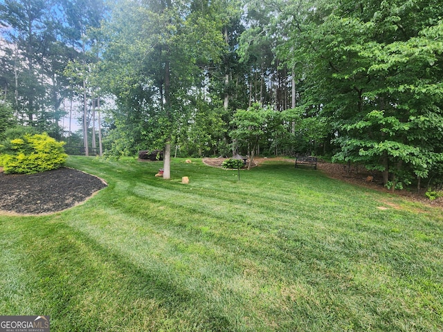 328 Spence Cir, Ball Ground, GA 30107 - view of green lawn