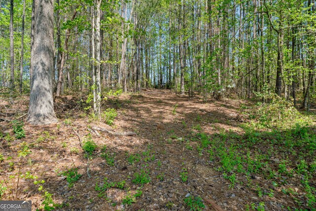 328 Spence Cir, Ball Ground, GA 30107 - view of tree filled area