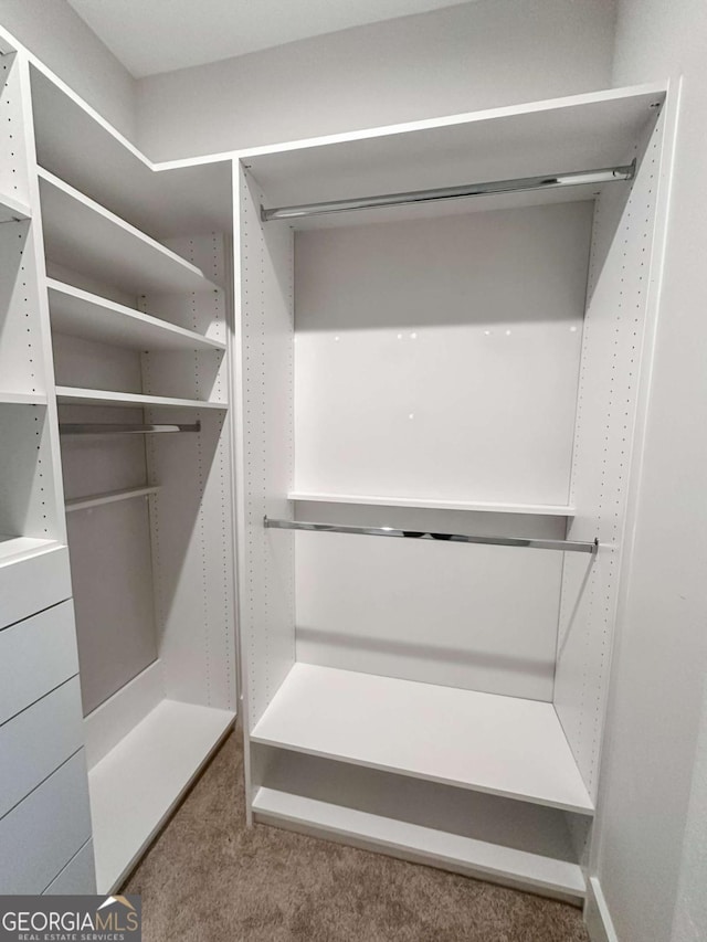 spacious closet with carpet floors