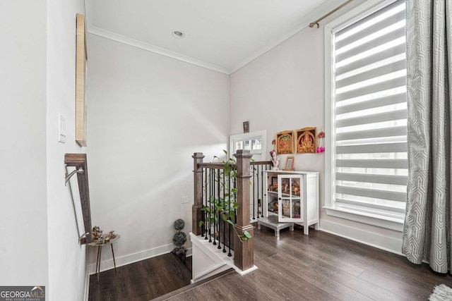 interior space with crown molding, wood finished floors, and baseboards